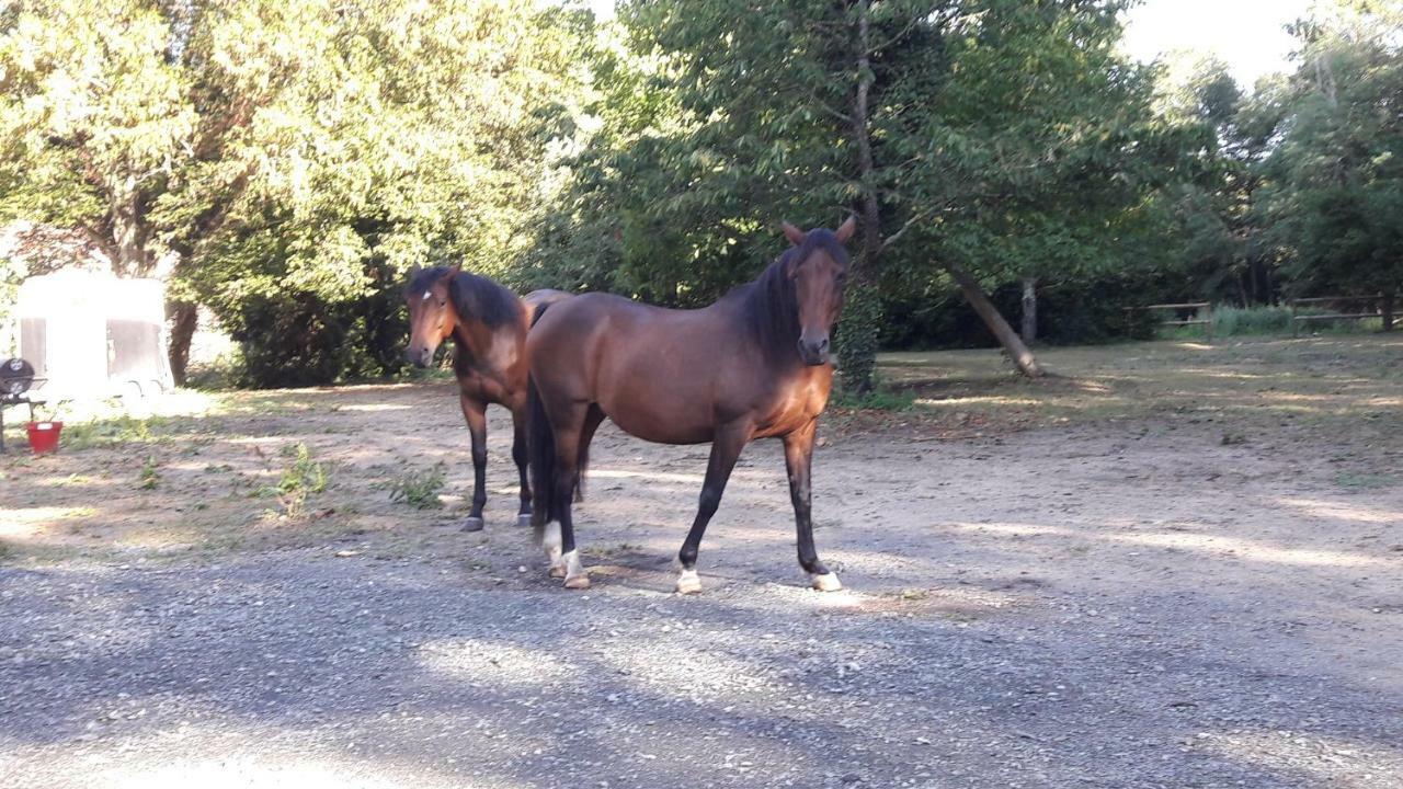 Le Petit Plessis 3*